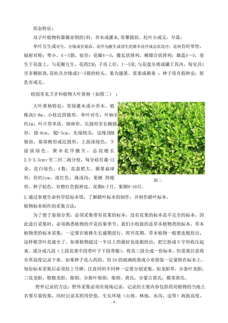 植物多样性调查与分析_第5页