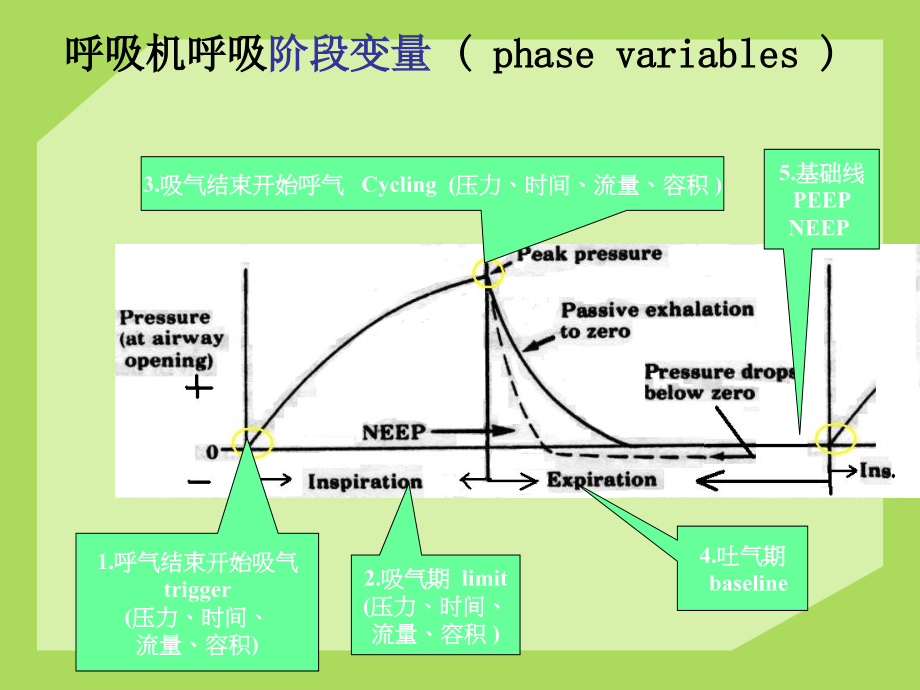 常见呼吸机模式及参数调节_第3页