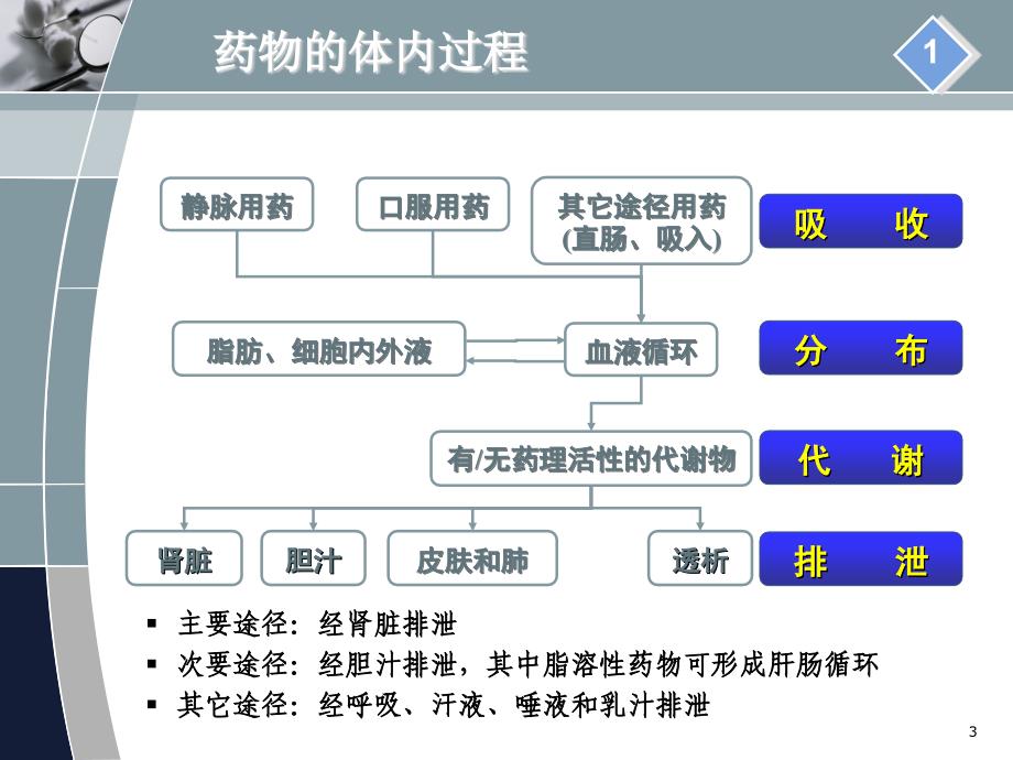 肾功能不全患者的合理用药讲_第3页