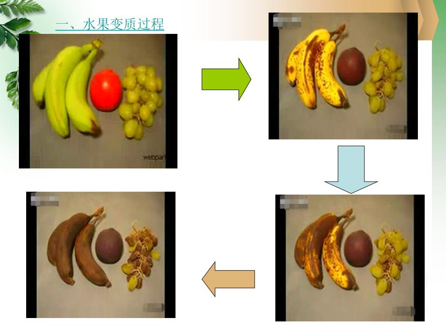 商品养护——果蔬的保管养护_第3页