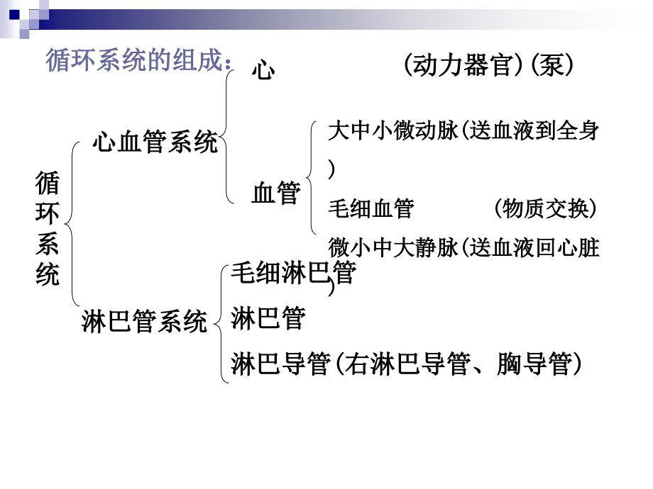 解剖生理学_第六章循环系统_第4页