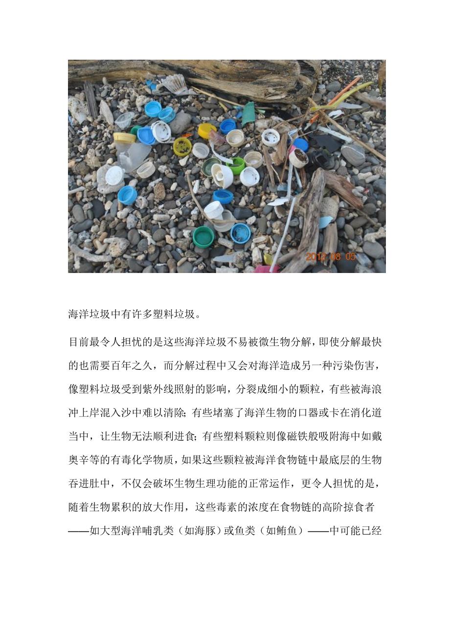 陆地垃圾在海洋聚集成海_第4页