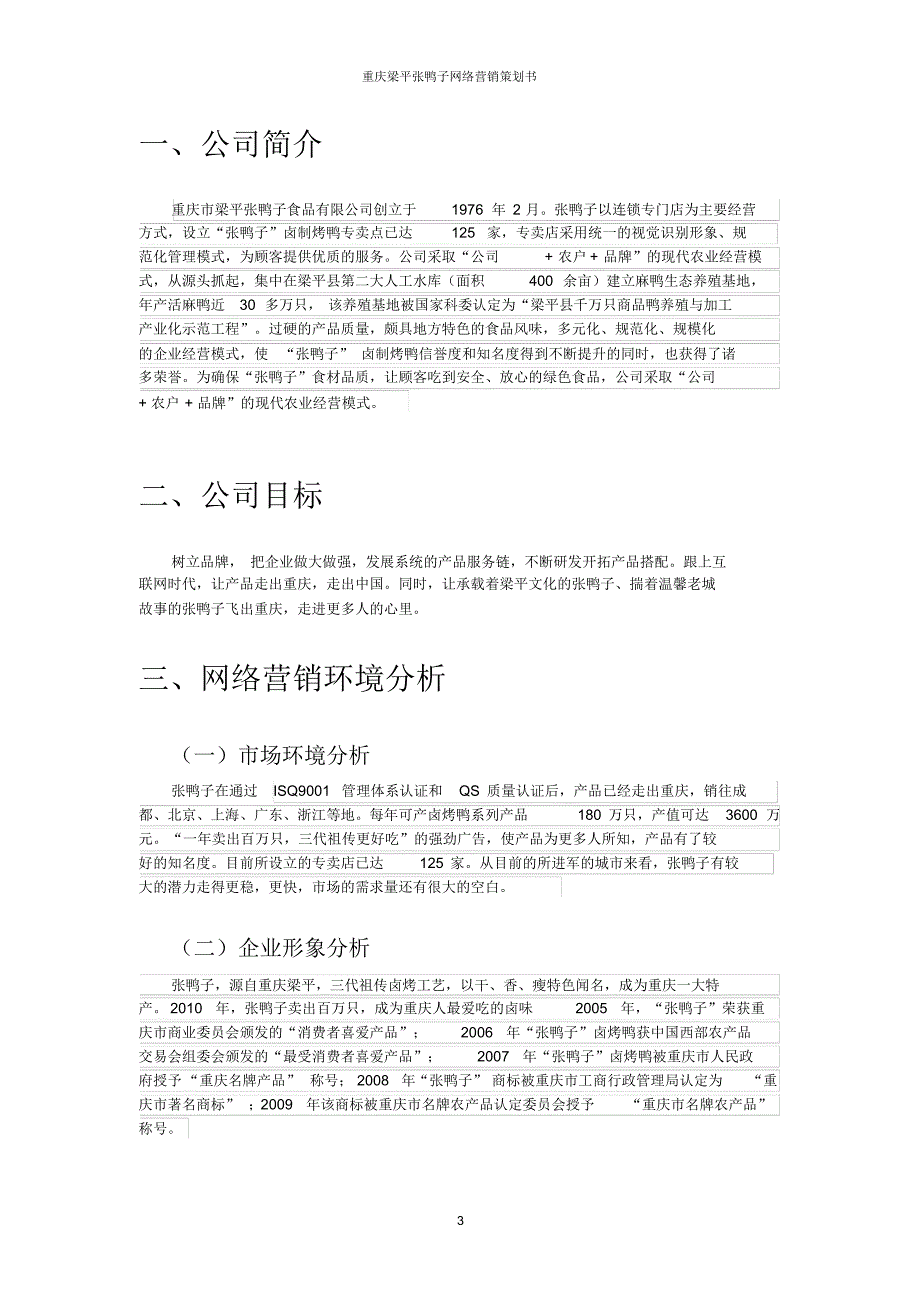 重庆梁平张鸭子网络营销策划书_第3页