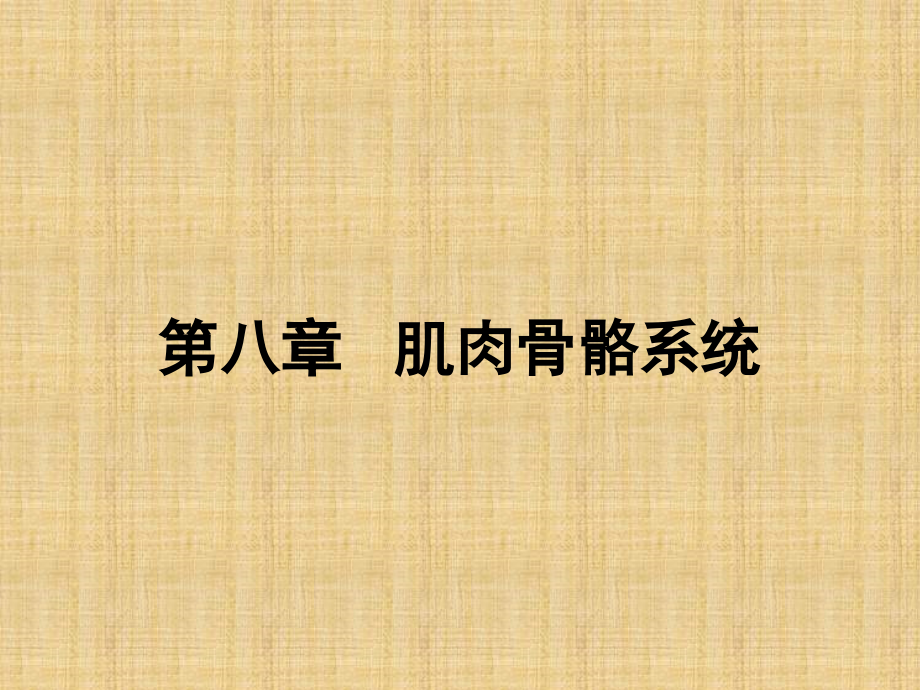 肌肉骨骼疾病超声诊断_第1页