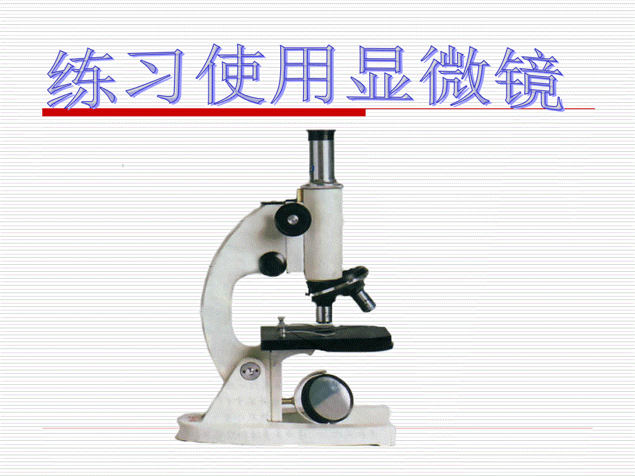 显微镜的结构及使用方法1_第1页