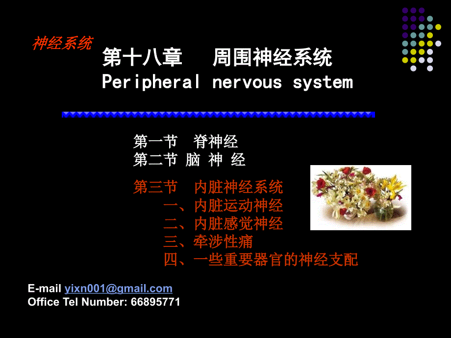 内脏神经系统_第1页