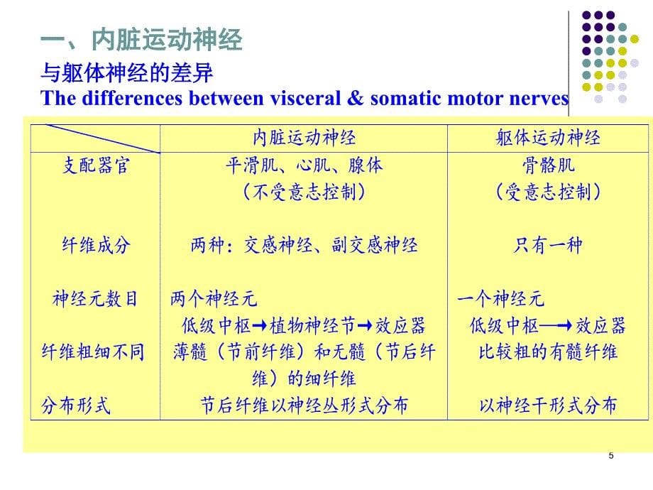 内脏神经系统_第5页