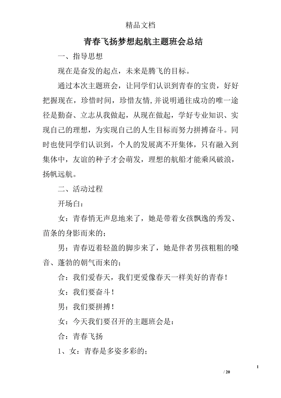 青春飞扬梦想起航主题班会总结精选 _第1页