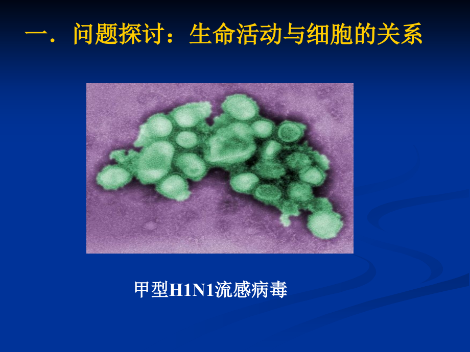 [理化生]第一章 走近细胞_第3页