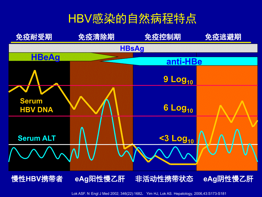 慢性乙型肝炎抗病毒治疗的热点问题_第2页