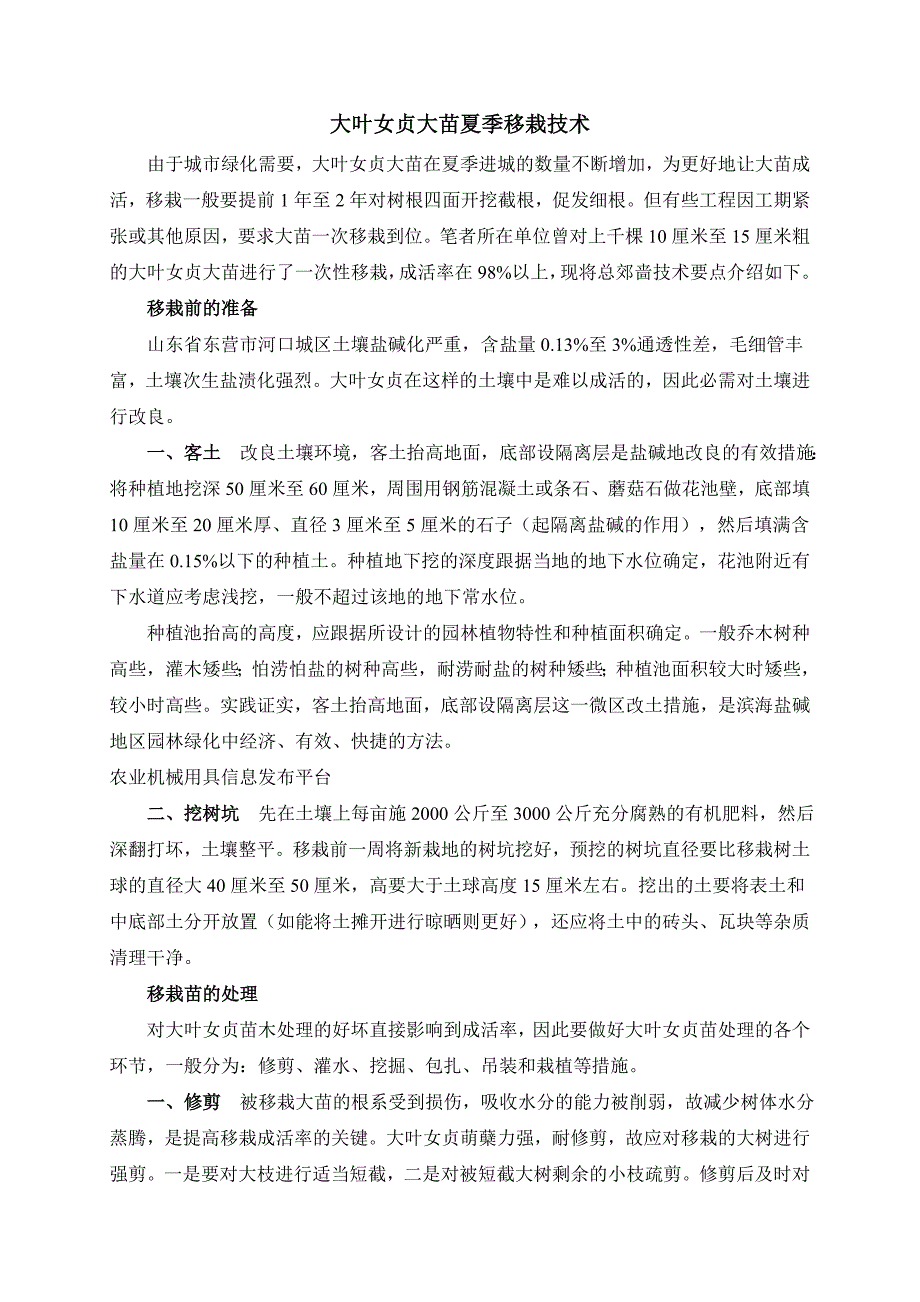 大叶女贞大苗夏季移栽技术_第1页