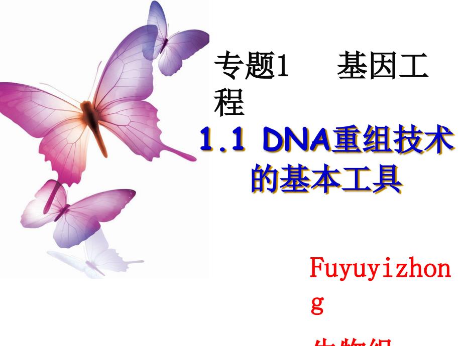 人教版教学课件[名校联盟]吉林省扶余一中高二生物《11 dna重组技术的基本工具》课件_第1页