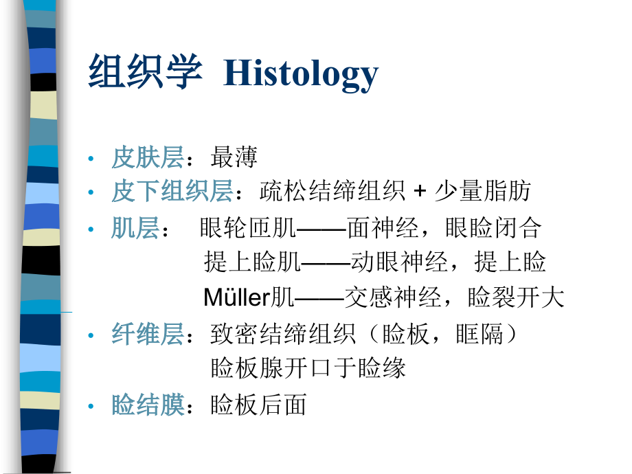 七年眼睑泪器双语_第3页