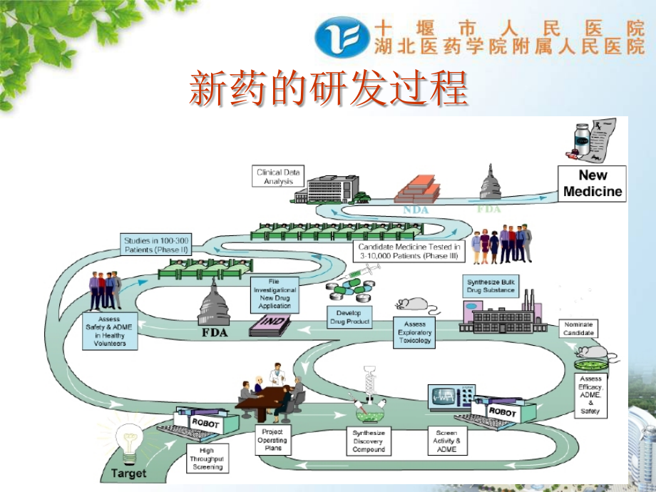 新药开发研究与新药临床试验_第2页