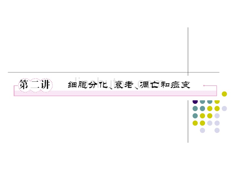 必修一6-2细胞分化、衰老、凋亡和癌变_第1页