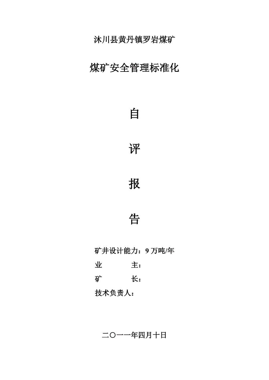 标准化自评报告(上报)_第1页