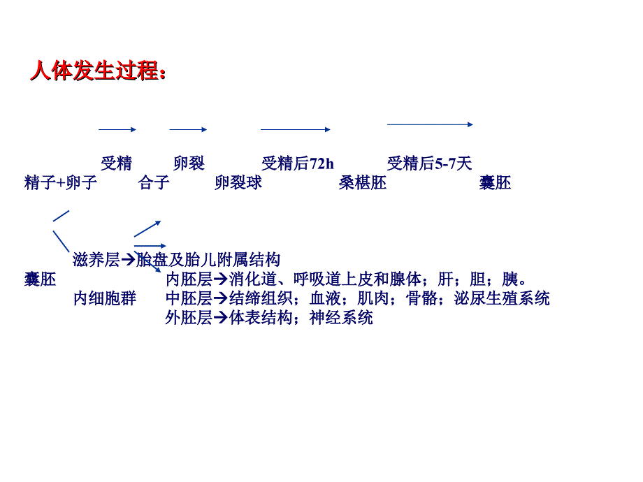 干细胞工程(6)_第4页