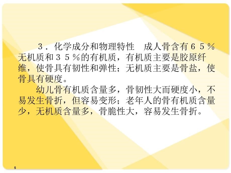 解剖学课件：运动系统_第5页