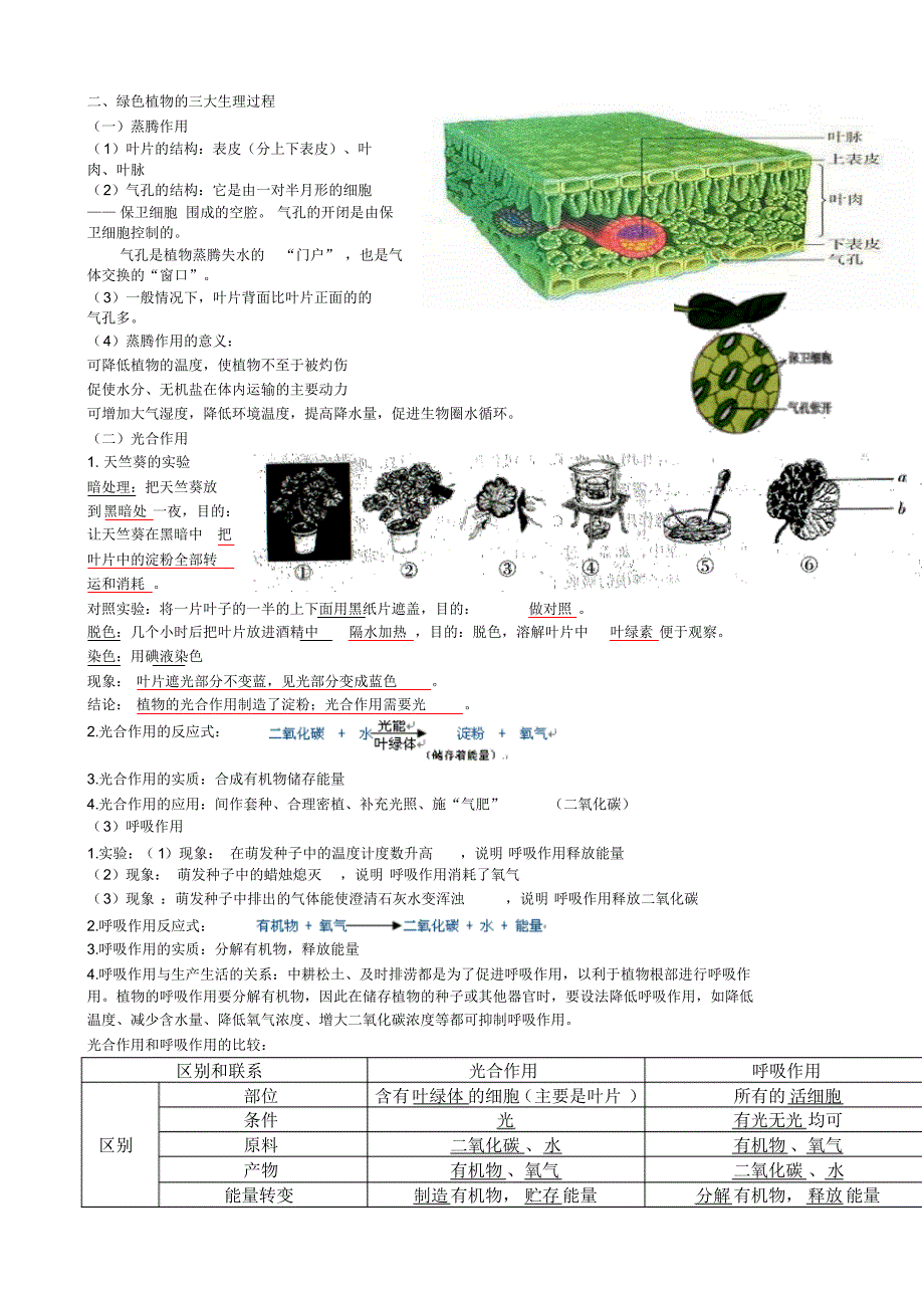 第二单元第一章生物圈中的绿色植物复习_第2页