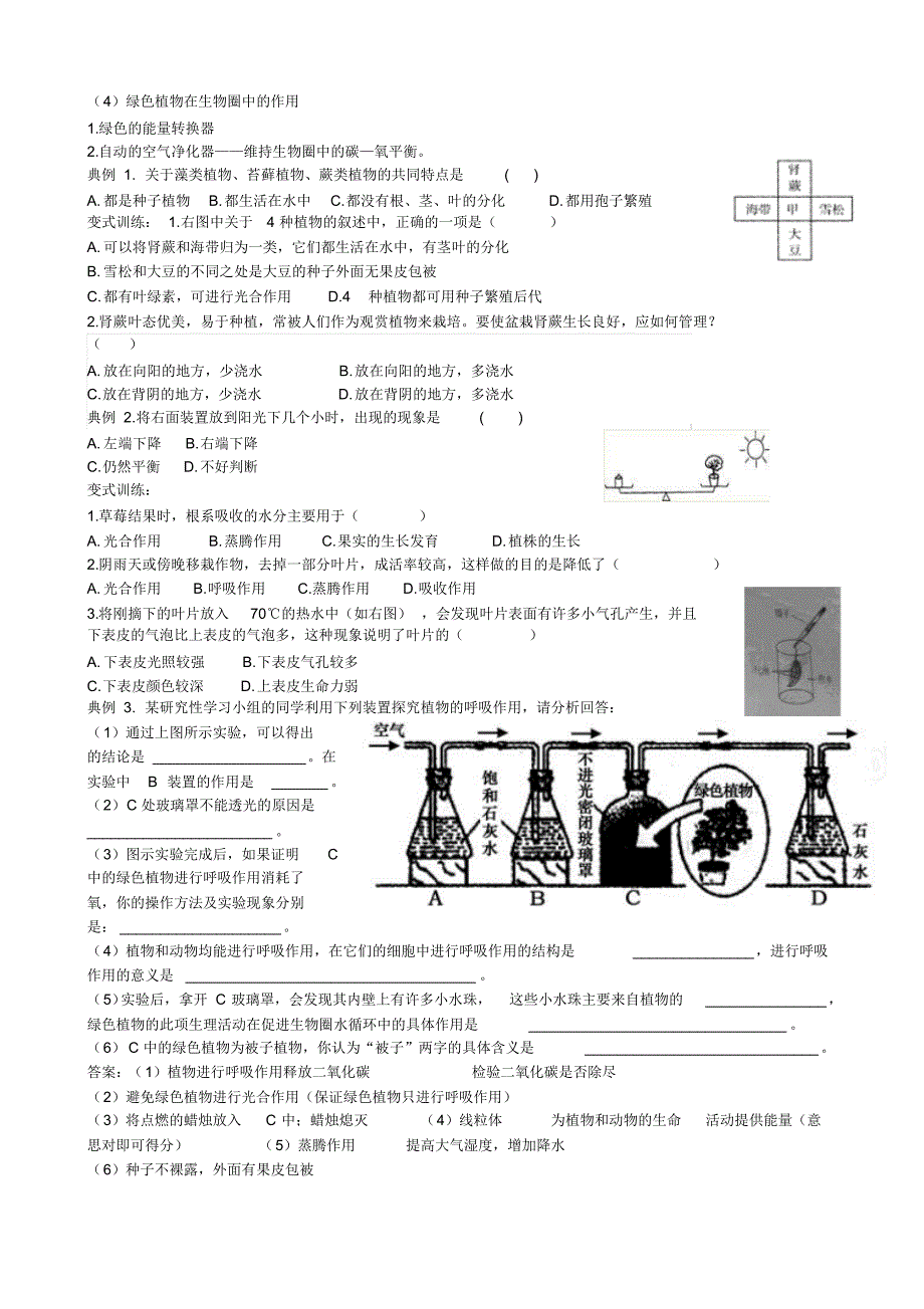 第二单元第一章生物圈中的绿色植物复习_第3页