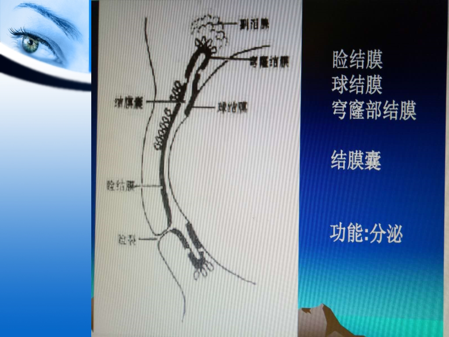 眼科其他疾病知识及相关护理_第4页