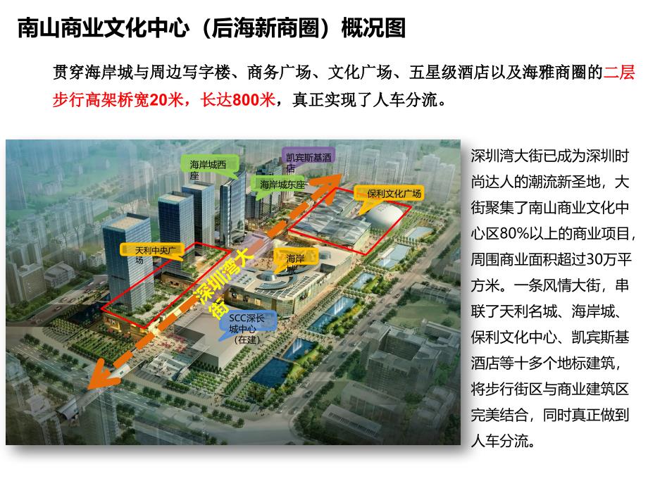深圳南山商圈商业项目考察报告_第1页