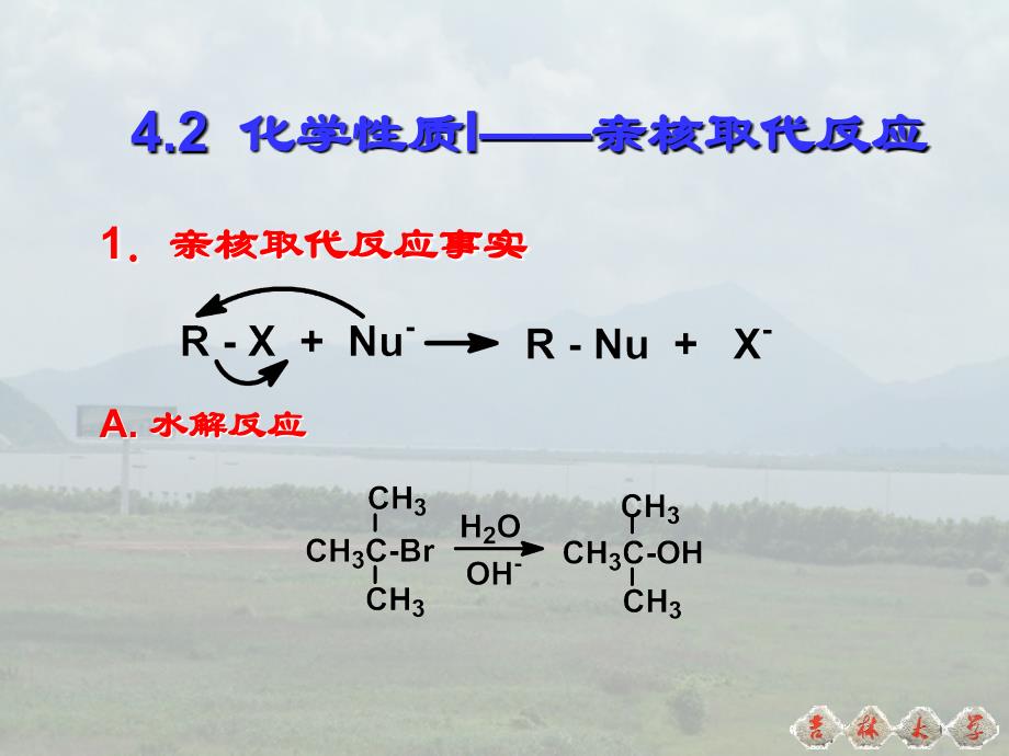 [农学]有机化学课件第四章 卤代烃 醇 脂肪胺_第3页