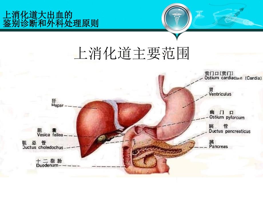 第八版外科学-上消化道大出血的鉴别诊断和外科处理原则_第3页