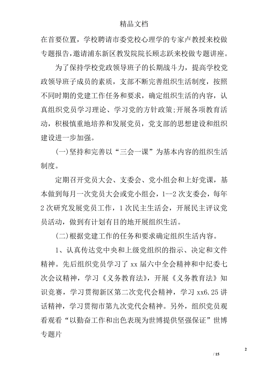 支部换届工作总结精选_第2页