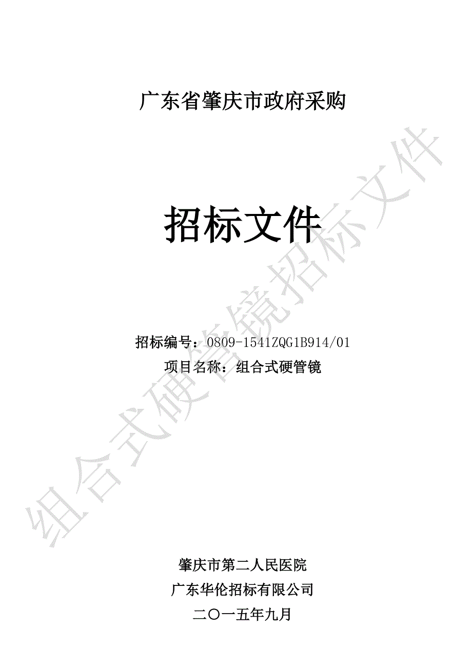 广东省肇庆市政府采购 组合式硬管镜招标文件_第1页