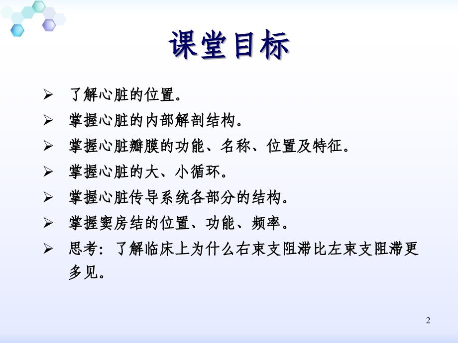 心脏的解剖结构及传导系统_第2页