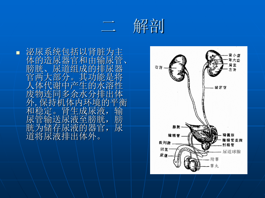 经皮肾镜碎石术的健康教育_第3页