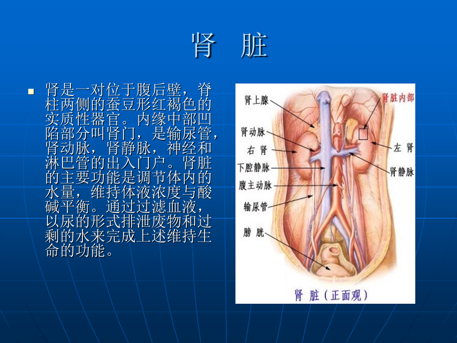 经皮肾镜碎石术的健康教育_第4页