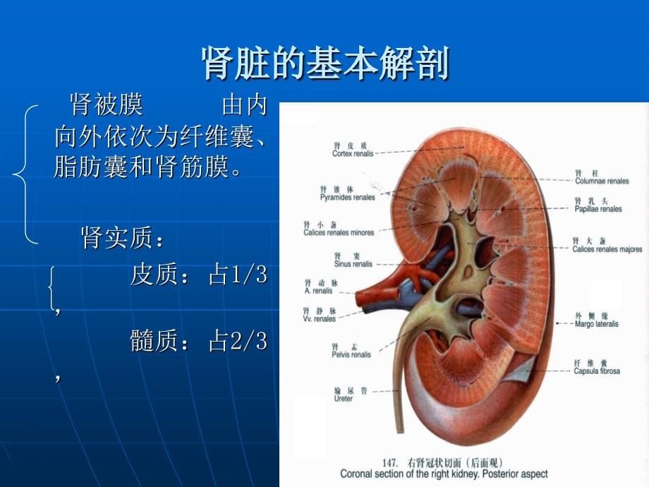 经皮肾镜碎石术的健康教育_第5页