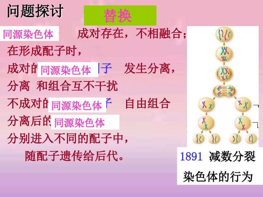 [高一理化生]2-2基因在染色体上_第3页