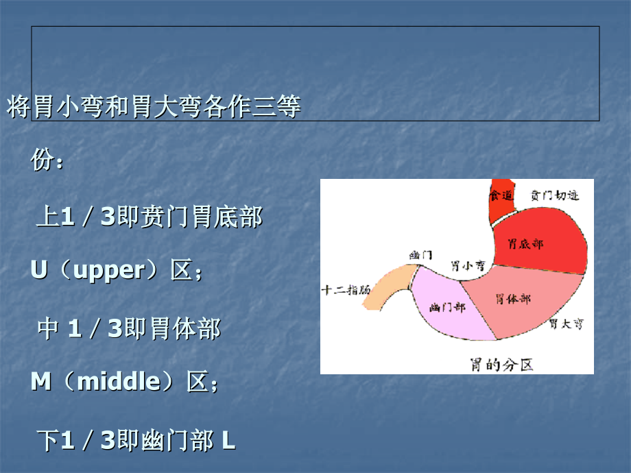 胃十二指肠疾病_第4页