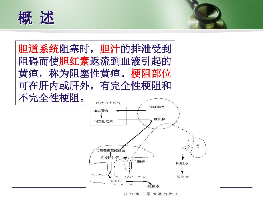 恶性梗阻性黄疸PTCD的护理_第3页