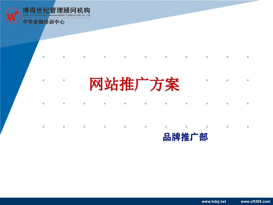 网站推广-企业网络营销解决方案 三亿网络_第1页