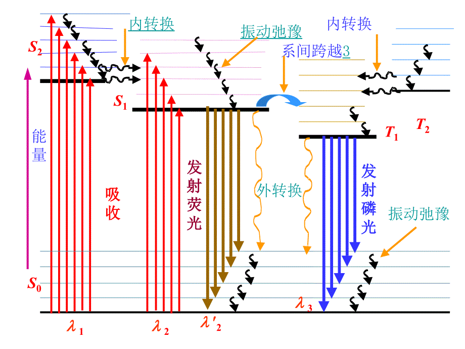 分析化学实验：荧光分光光度法测定硫酸奎宁含量_第3页