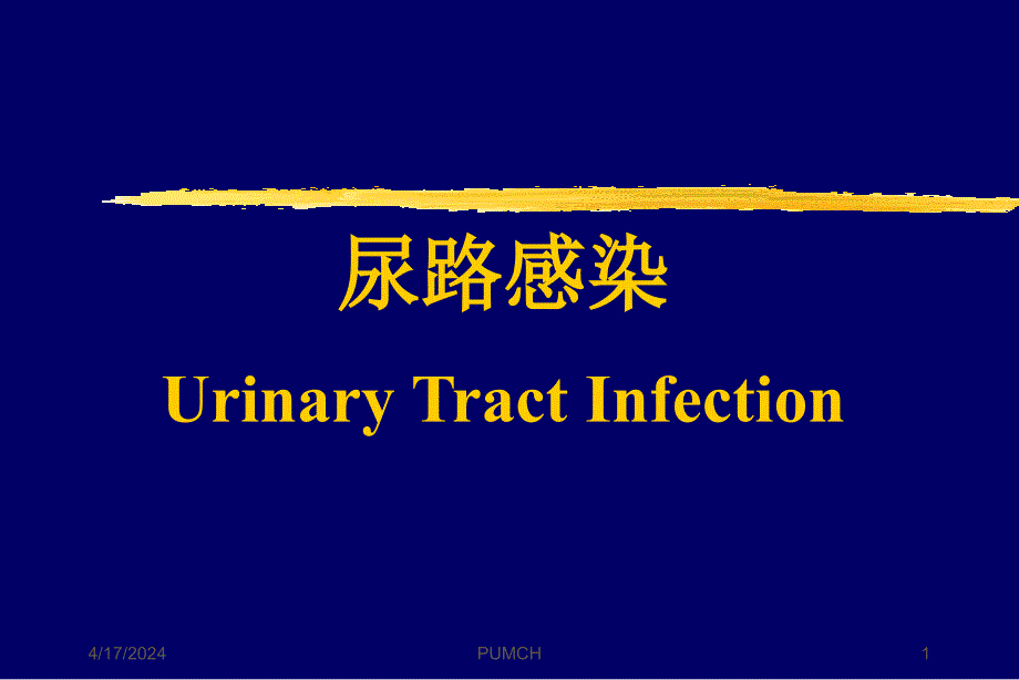 [临床医学]尿路感染_第1页