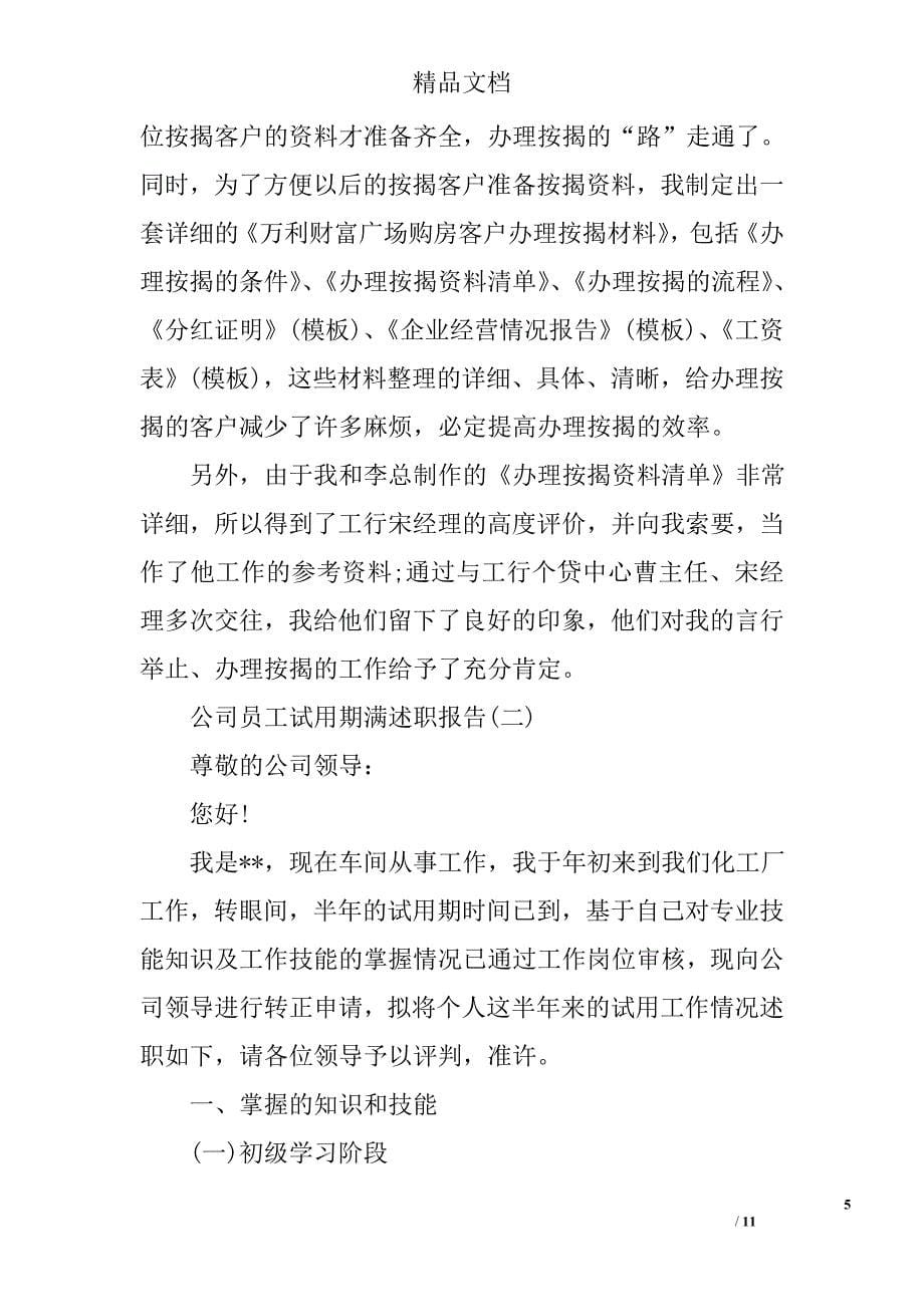 公司员工试用期满述职报告精选_第5页