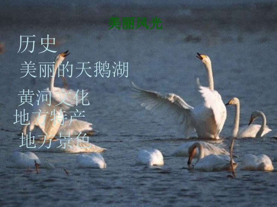 三门峡家乡介绍.ppt_第3页