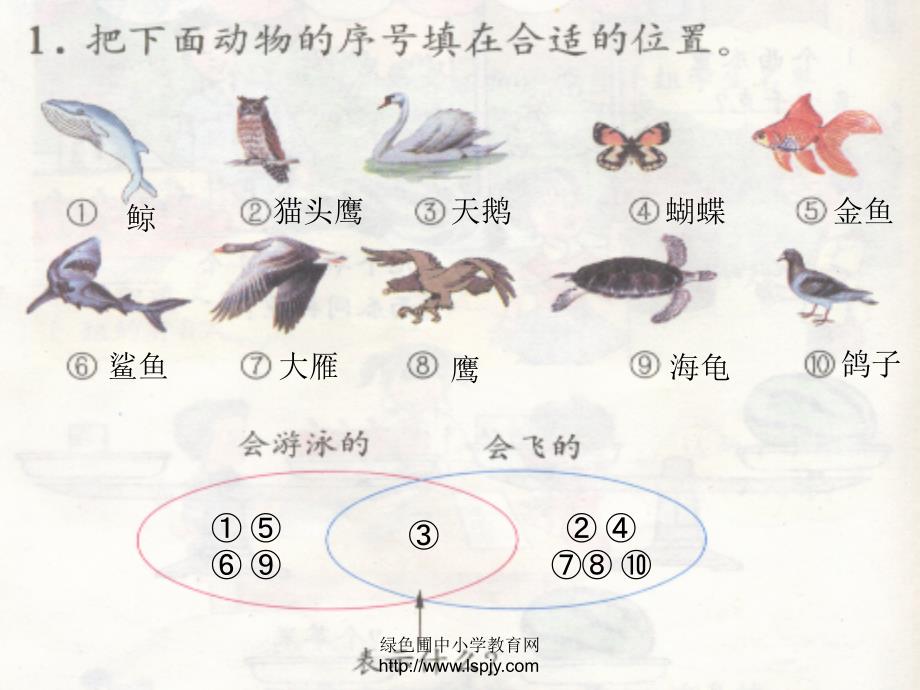 人教版六年级数学下册《数学广角》课件ppt_第4页