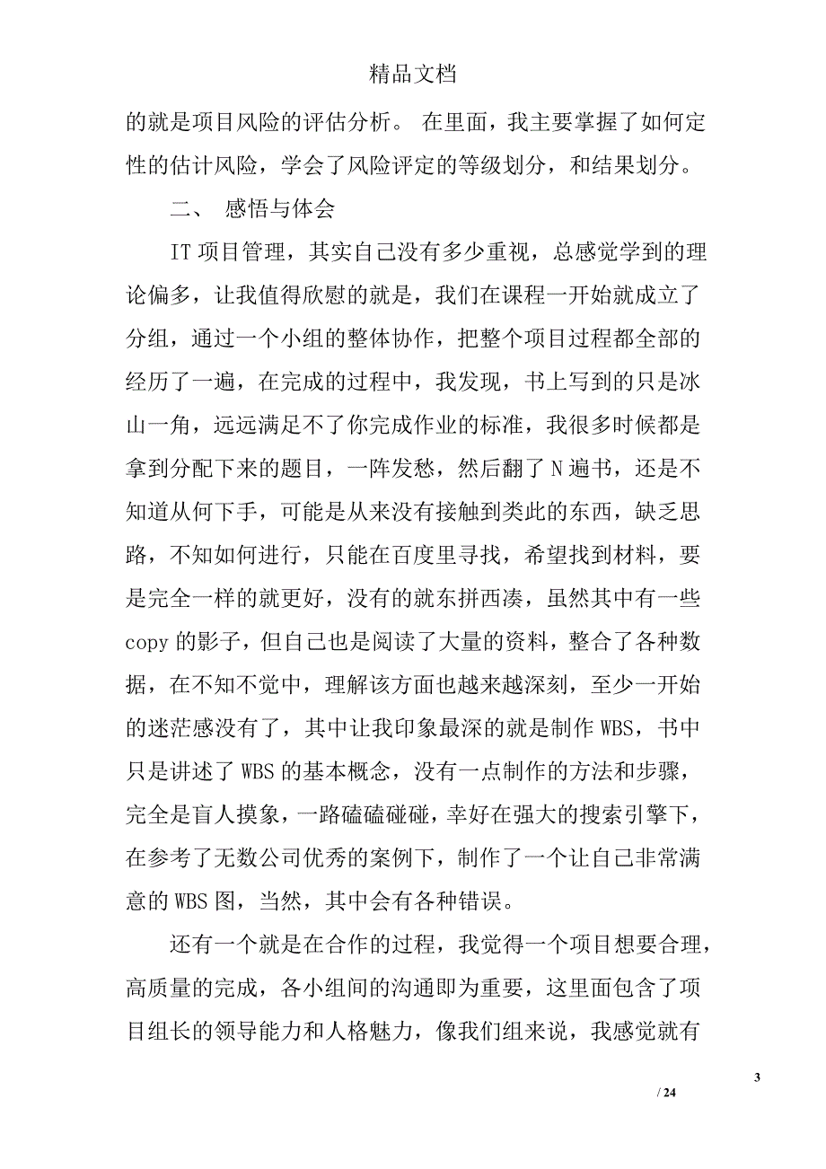 it项目管理总结报告精选 _第3页