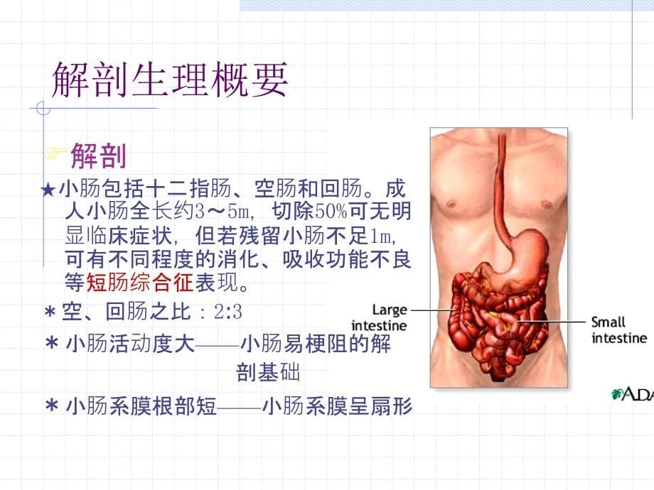 肠梗阻(游红勇)_第5页