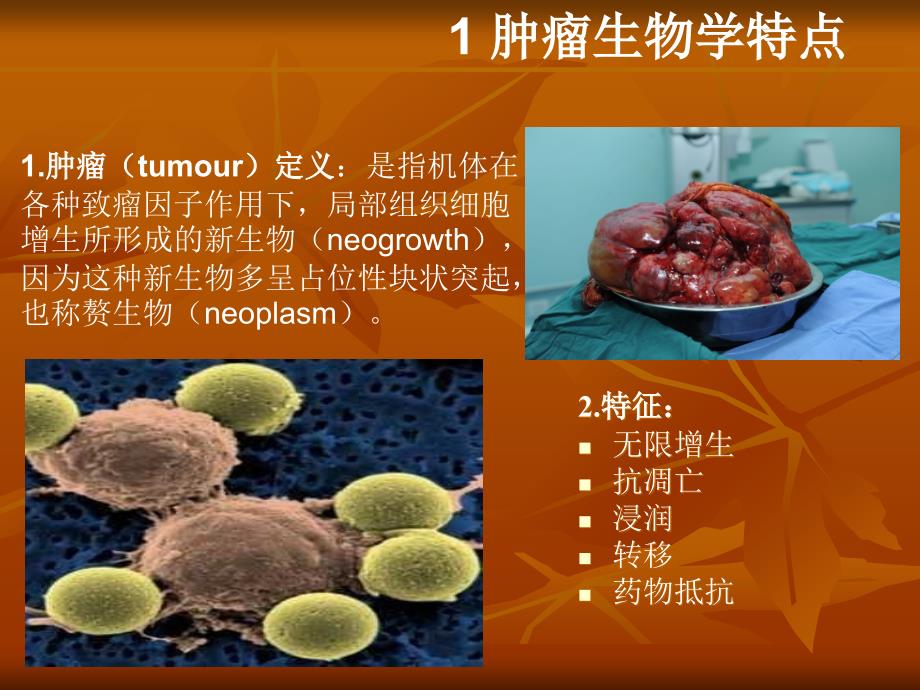 最新肿瘤微环境与肿瘤关系的研究_第3页