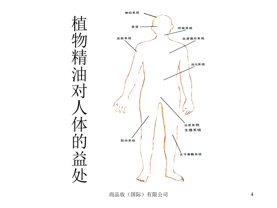 精油基础学-周波_第4页