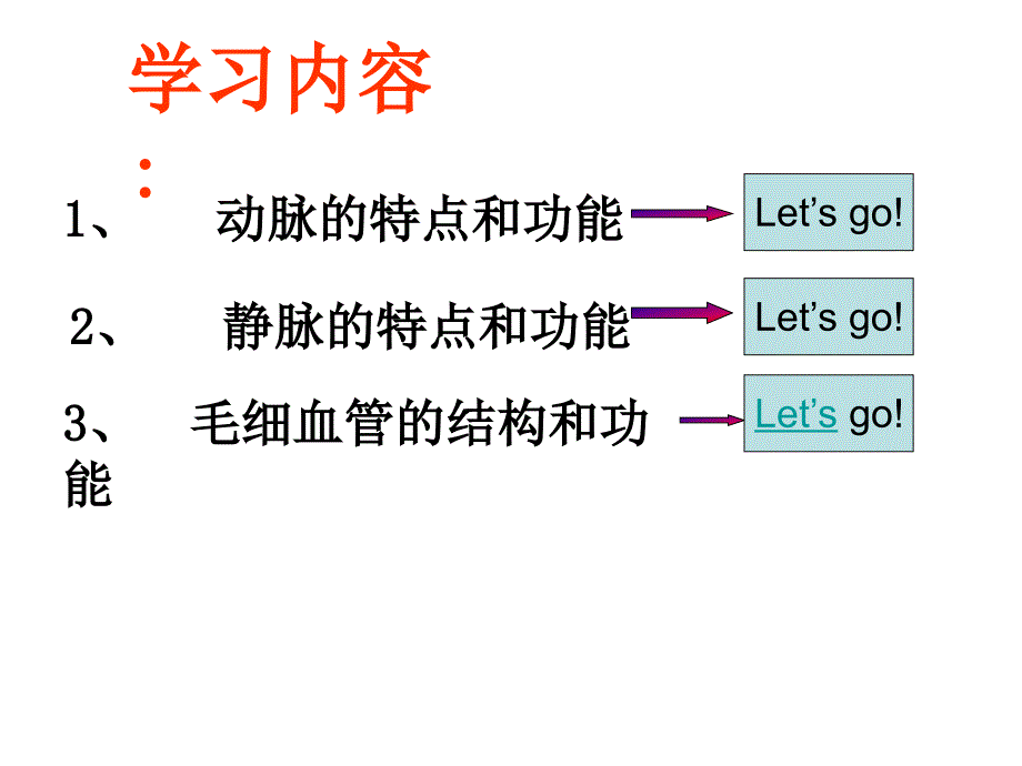 血流的管道 血管2_第3页