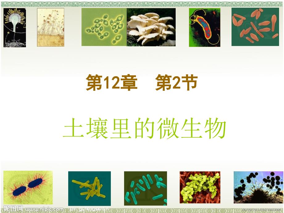 土壤里的微生物 2_第1页