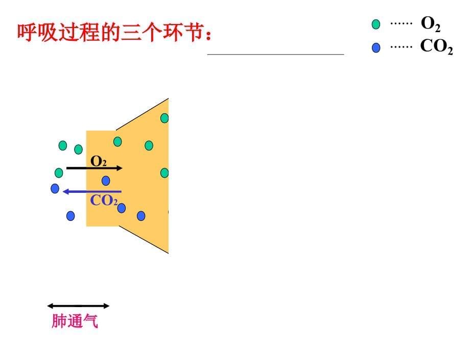 呼吸功能障碍的护理_第5页